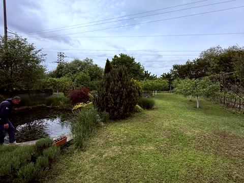 дом по адресу Цветная ул.