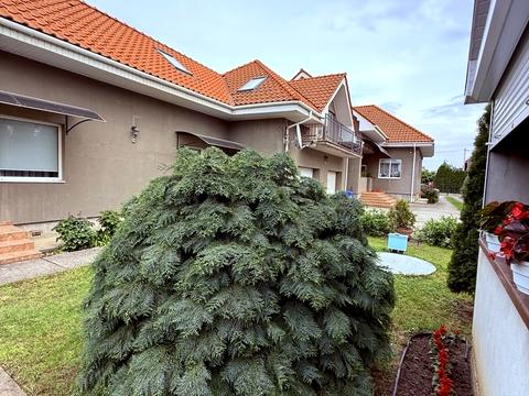 дом по адресу Цветная ул.