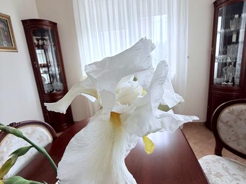 дом по адресу Цветная ул.