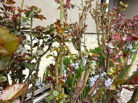 дом по адресу Цветная ул.