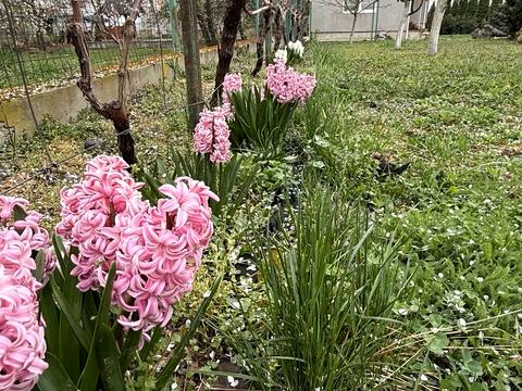 дом по адресу Цветная ул.