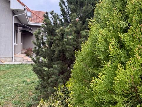 дом по адресу Цветная ул.