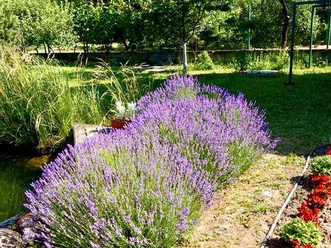 дом по адресу Цветная ул.