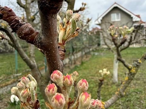 дом по адресу Цветная ул.