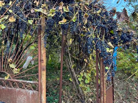 дом по адресу Староруслянская ул., 5