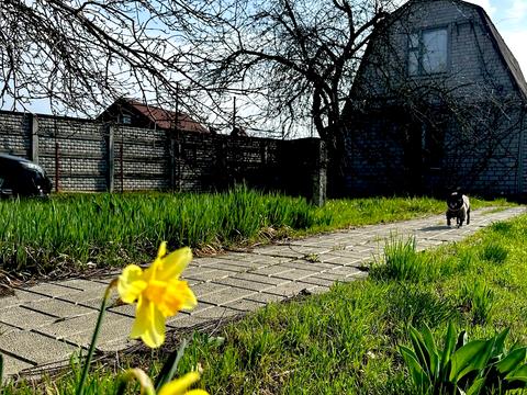 дом по адресу Новий провулок