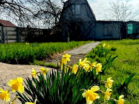 дом по адресу Новий провулок