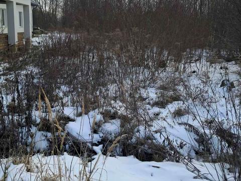 ділянка за адресою смт. Лисець, стуса