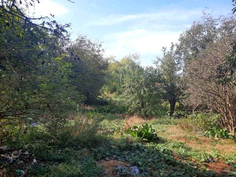 участок по адресу Галицкая ул., 35а