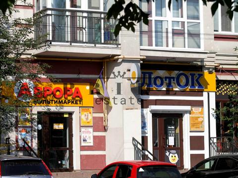 участок по адресу Пушкина ул.