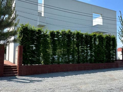 дом по адресу Яворницкого ул. (Тимошенко), 11