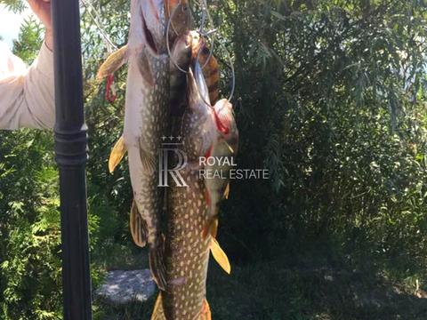 комерційна за адресою Сонячна вул., 2