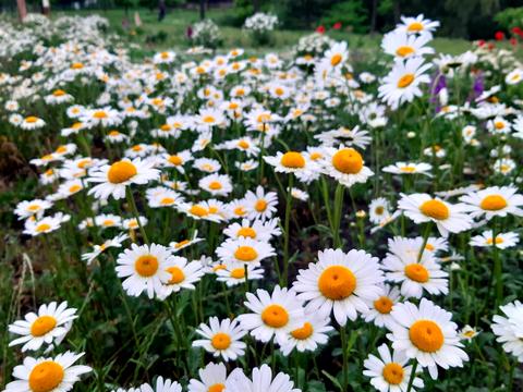 квартира за адресою Драгоманова вул., 31-А