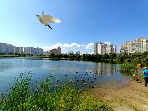 квартира за адресою Драгоманова вул., 31-А