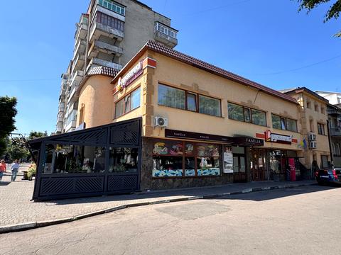 комерційна за адресою Тараса Шевченка вул., 55