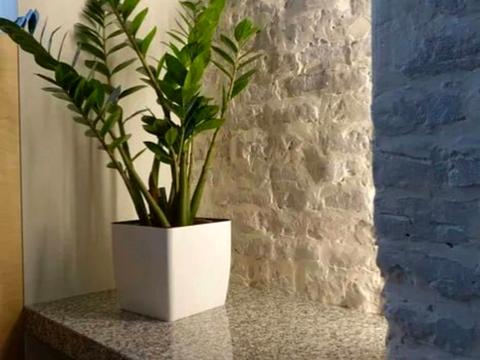 квартира по адресу Львов, Князя Ярослава Осмомысла пл., 11