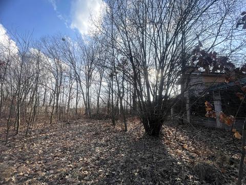 ділянка за адресою Зоряна вул.