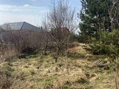 ділянка за адресою Польова