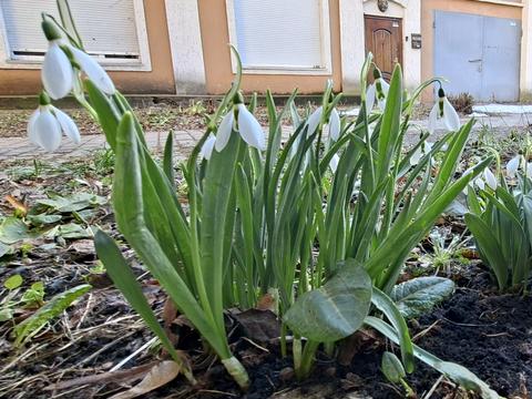 квартира за адресою Антоновича, 57Г