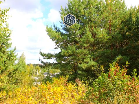 участок по адресу Некрасова ул. (Некрасова)