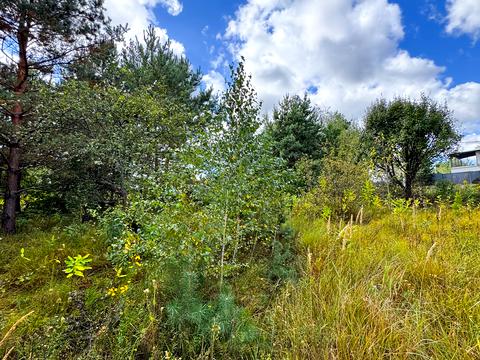 участок по адресу Некрасова ул. (Некрасова)