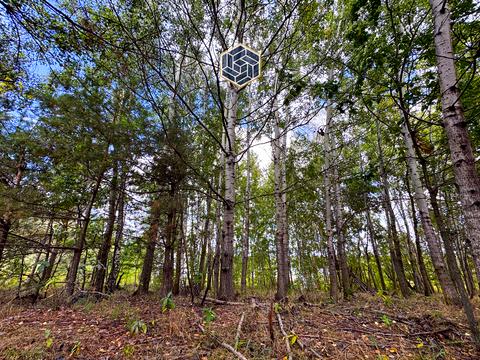 участок по адресу Некрасова ул. (Некрасова)