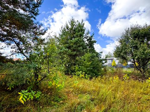 участок по адресу Некрасова ул. (Некрасова)