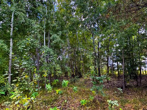 участок по адресу Некрасова ул. (Некрасова)