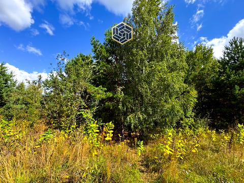 участок по адресу Некрасова ул. (Некрасова)