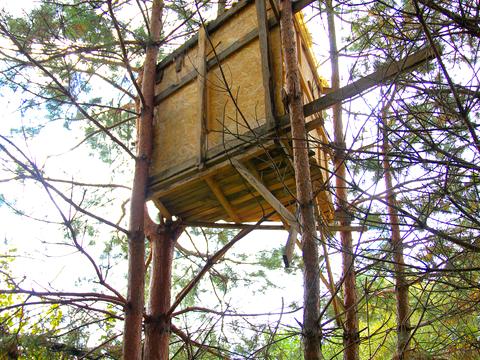 участок по адресу Некрасова ул. (Некрасова)