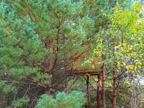 участок по адресу Некрасова ул. (Некрасова)