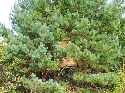 участок по адресу Некрасова ул. (Некрасова)