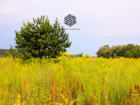 ділянка за адресою 