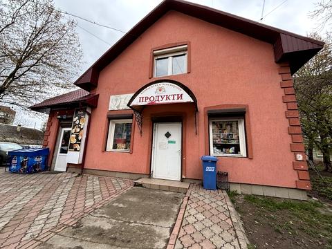 комерційна за адресою Миколи Лисенка вул., 3 А