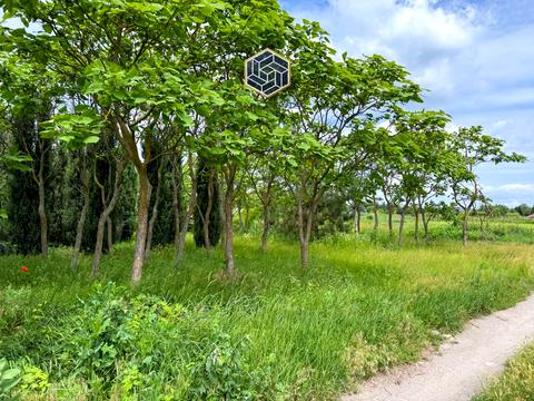 ділянка за адресою 