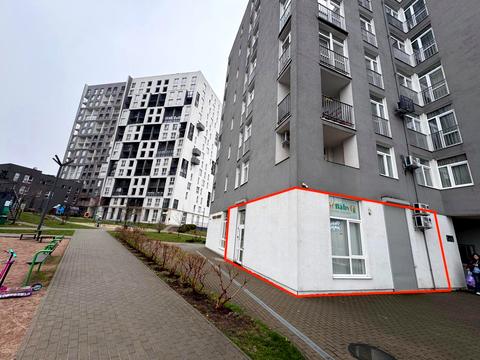 комерційна за адресою Володимира Янева вул., 19