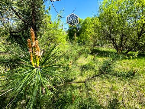 участок по адресу 