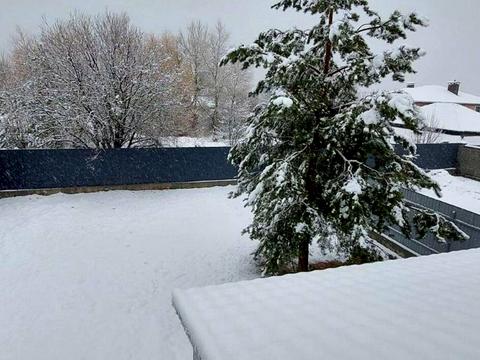 будинок за адресою Максима Рильського вул.