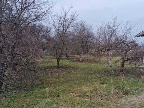 ділянка за адресою Яблунева вул. с. Затишне