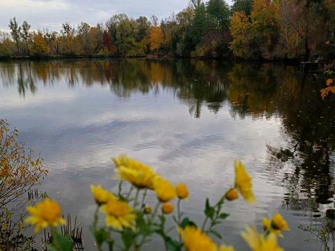 будинок за адресою 3-тя лінія