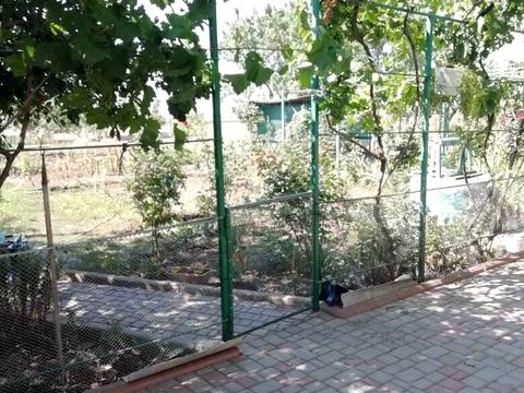 дом по адресу с. Луговое, Шкільна, 2А