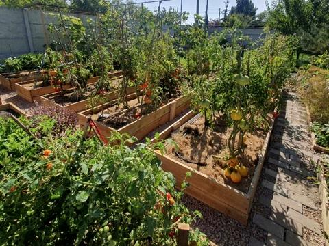 будинок за адресою Березова