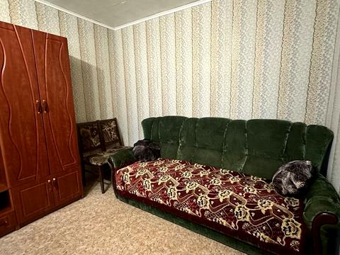 квартира по адресу Фосфорная ул., 13