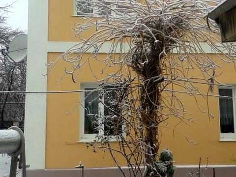 будинок за адресою Сосюри вул., 41