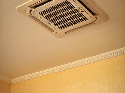 квартира за адресою Олександра Богомольця вул., 22