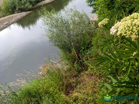 ділянка за адресою 