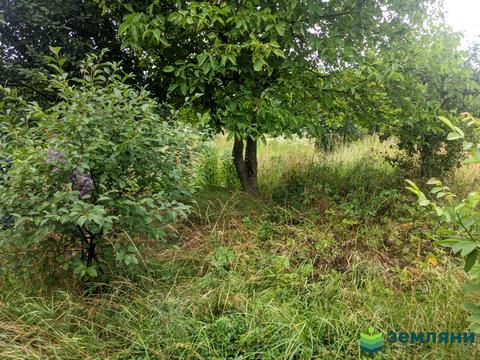 ділянка за адресою 