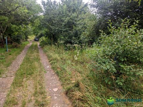 ділянка за адресою 