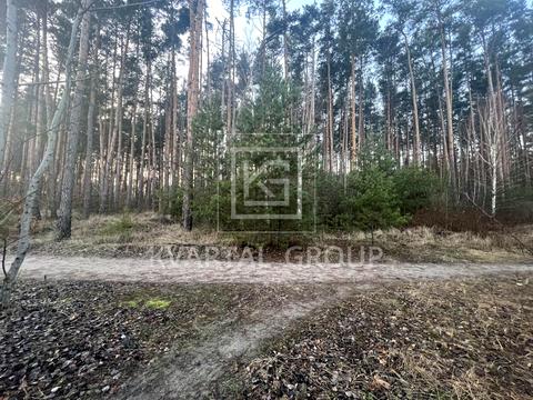 ділянка за адресою Університетська вул.