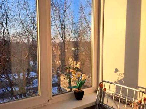 квартира за адресою Інженера Бородіна вул. (Сергія Лазо), 5-А